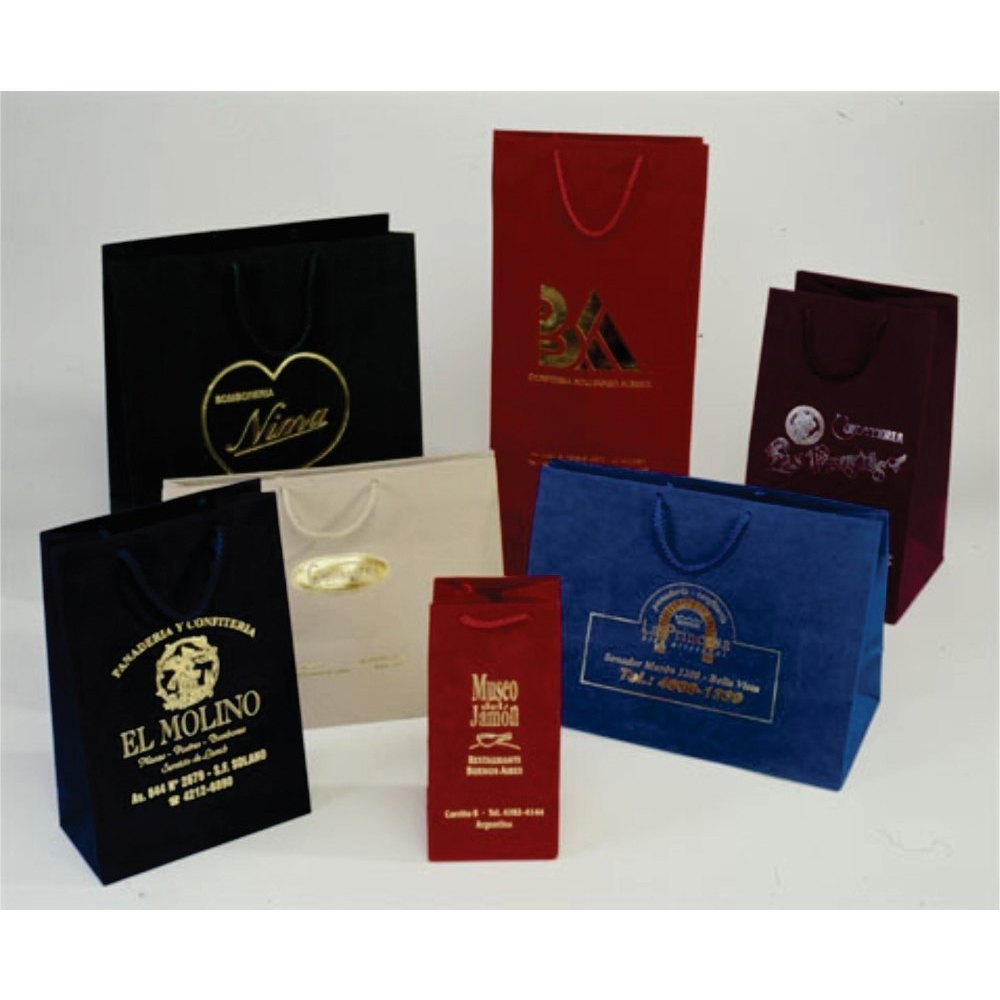 Paper Bag Printing Service, in Delhi