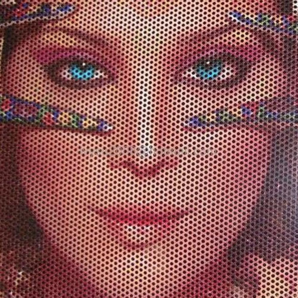 Vinyl One Way Vision Printing Service, in Pan India