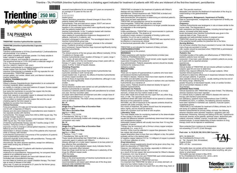 Text Printing Paper Pharma Literature, in Mumbai