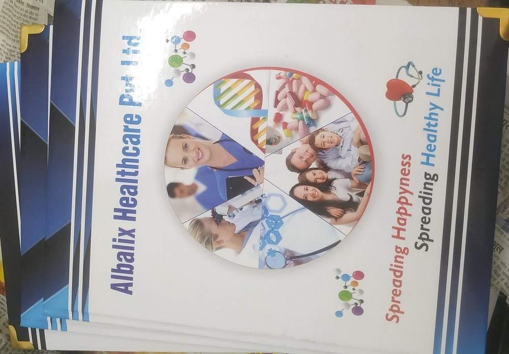 4 Folder Printing Services, in Pan India, Dimension / Size: 17*13inch