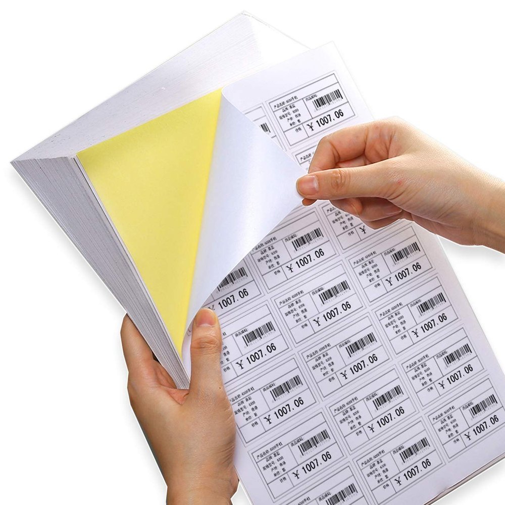 PVC Plastic Sticker Printing Services, in Delhi