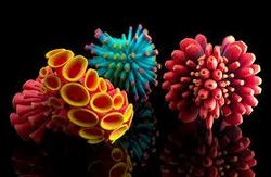 Thermoplastic Printing Design, Location: Mumbai, Packaging Type: Box