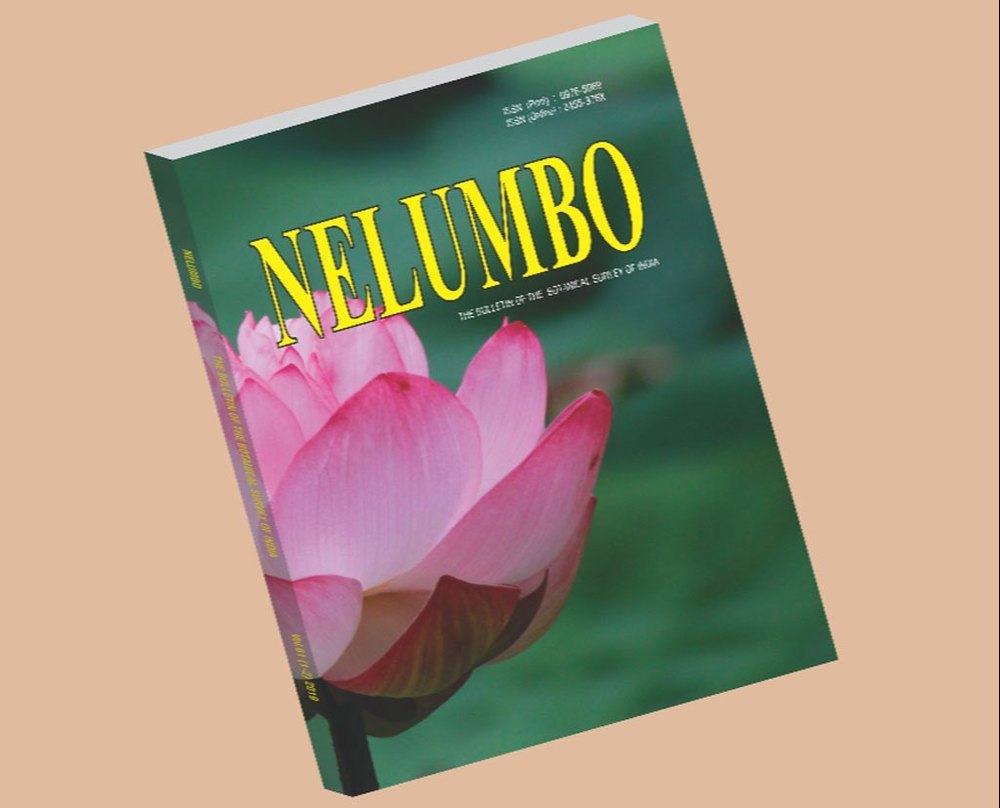 Paper Journal Printing Service