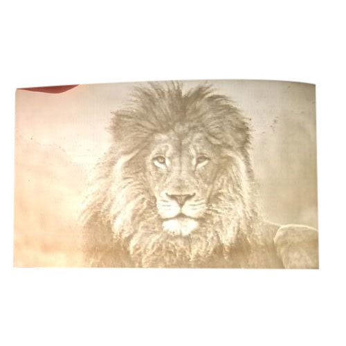 3D Printed Lithophane