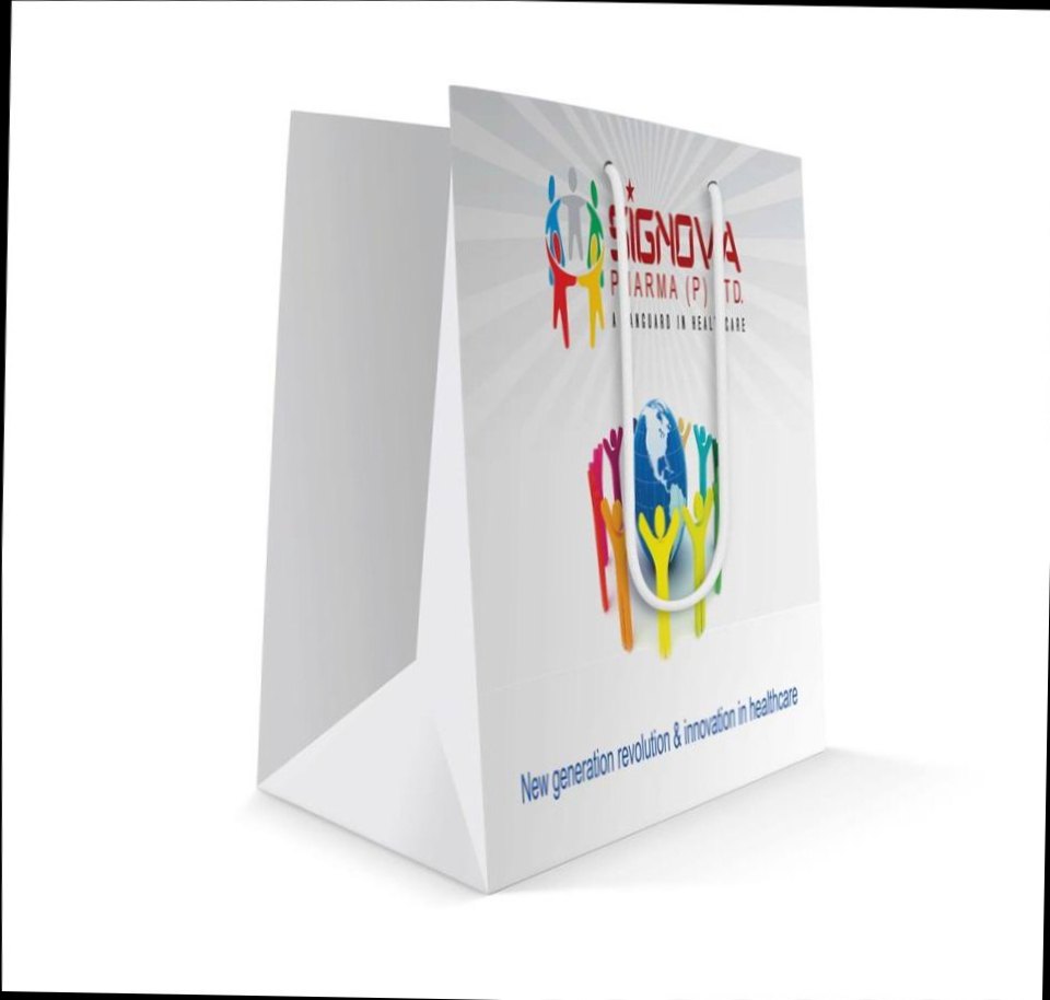 Paper Bag Printing Service, For Shopping, in Chandigarh
