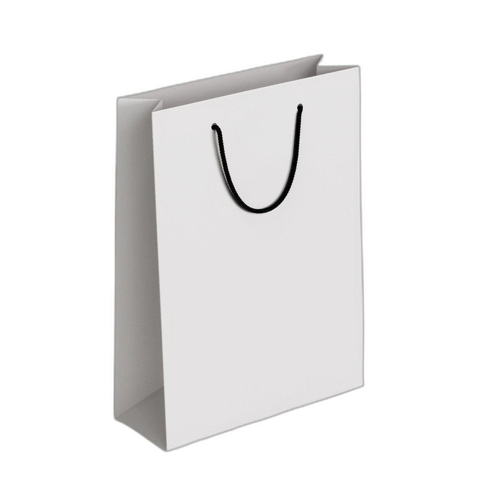Paper Shopping Bag Printing Service, in Pan India