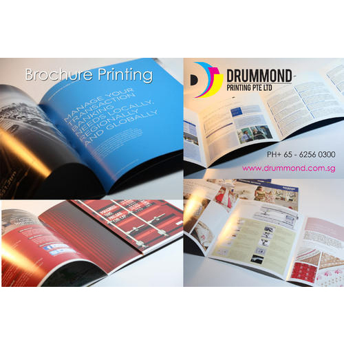Corporate Brochure Printing Service