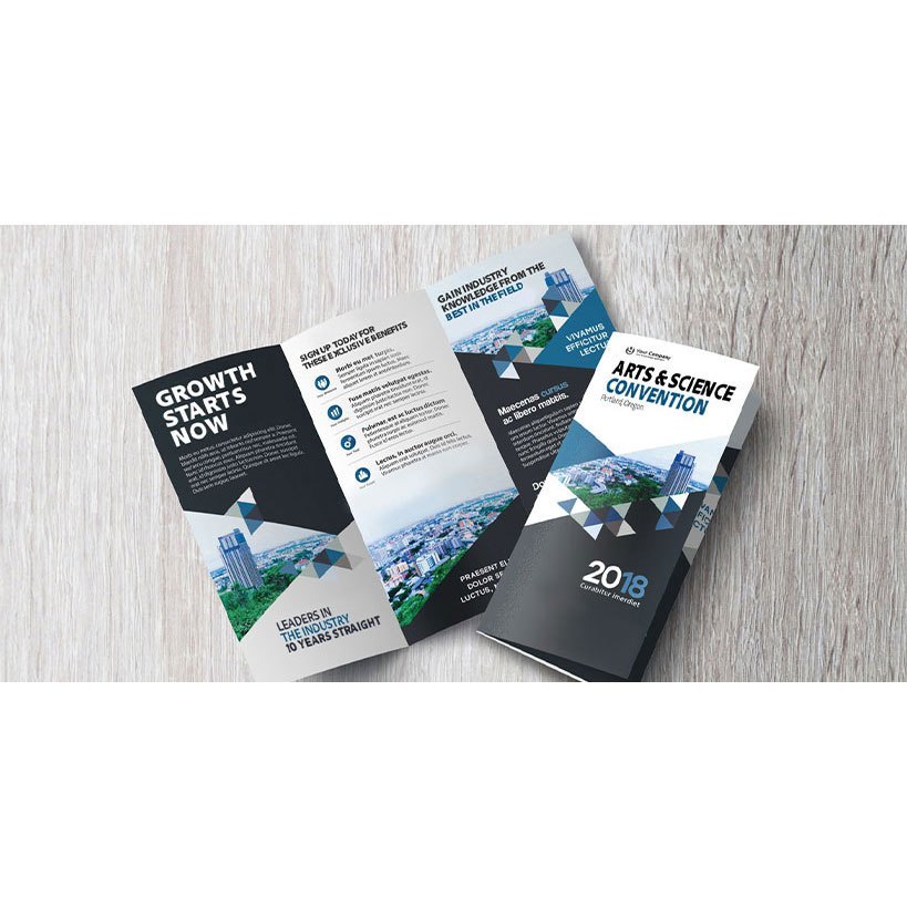 Paper Brochure Printing Services, in Pan India