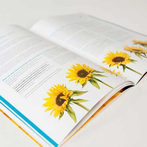 Print Production