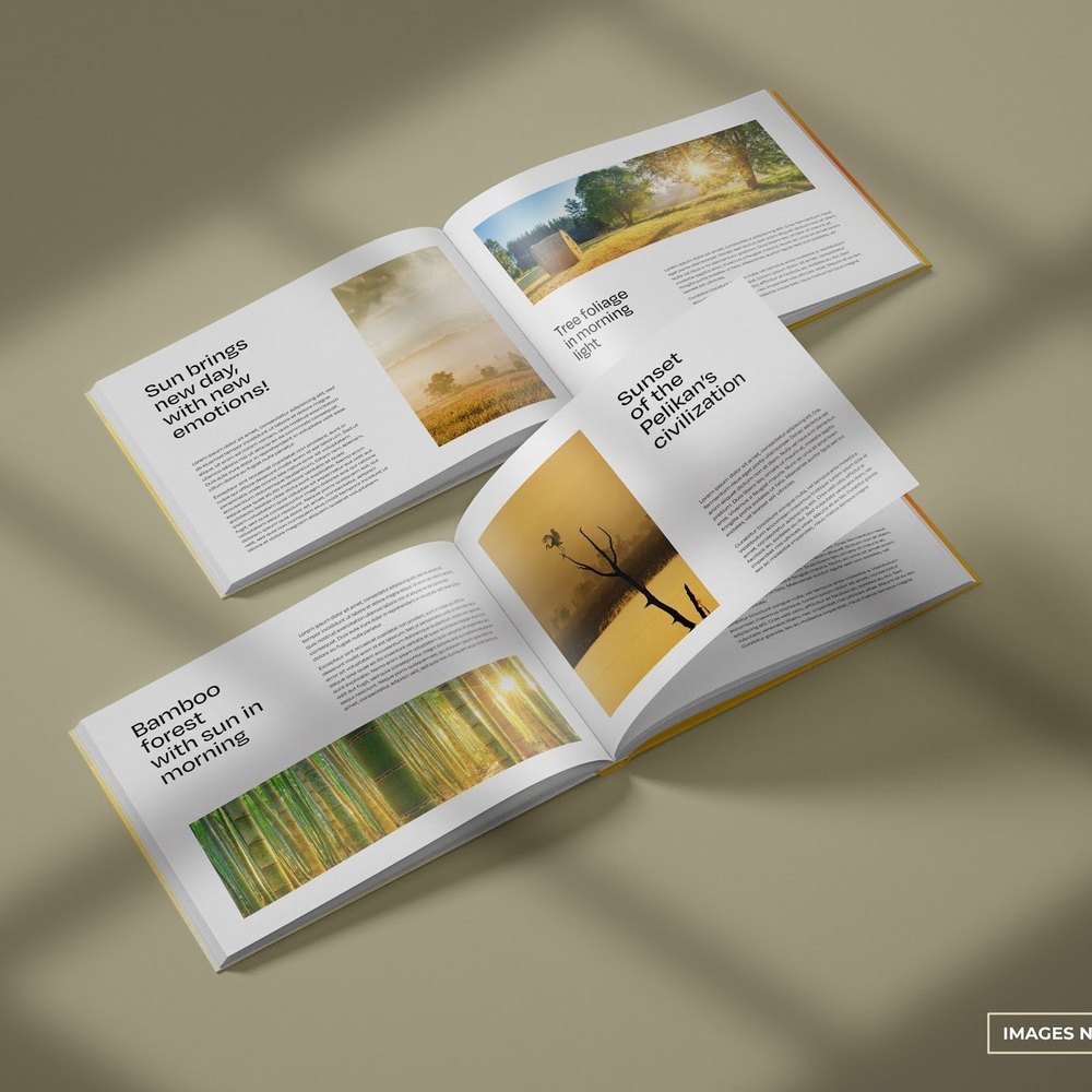 Hard Paper Portfolio Printing Services