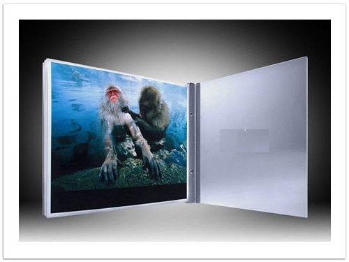 Portfolio Printing Service