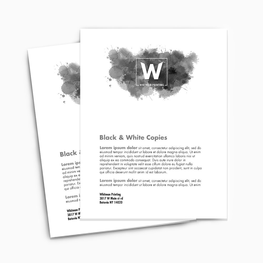 Paper Black And White Xerox Services, in Hyderabad