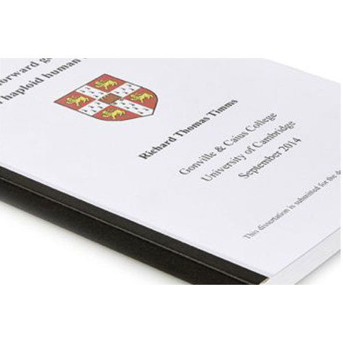 Project Binding Service
