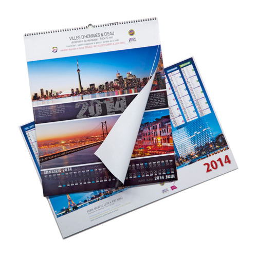 Paper Wall Calendar Printing Services, in Pan India