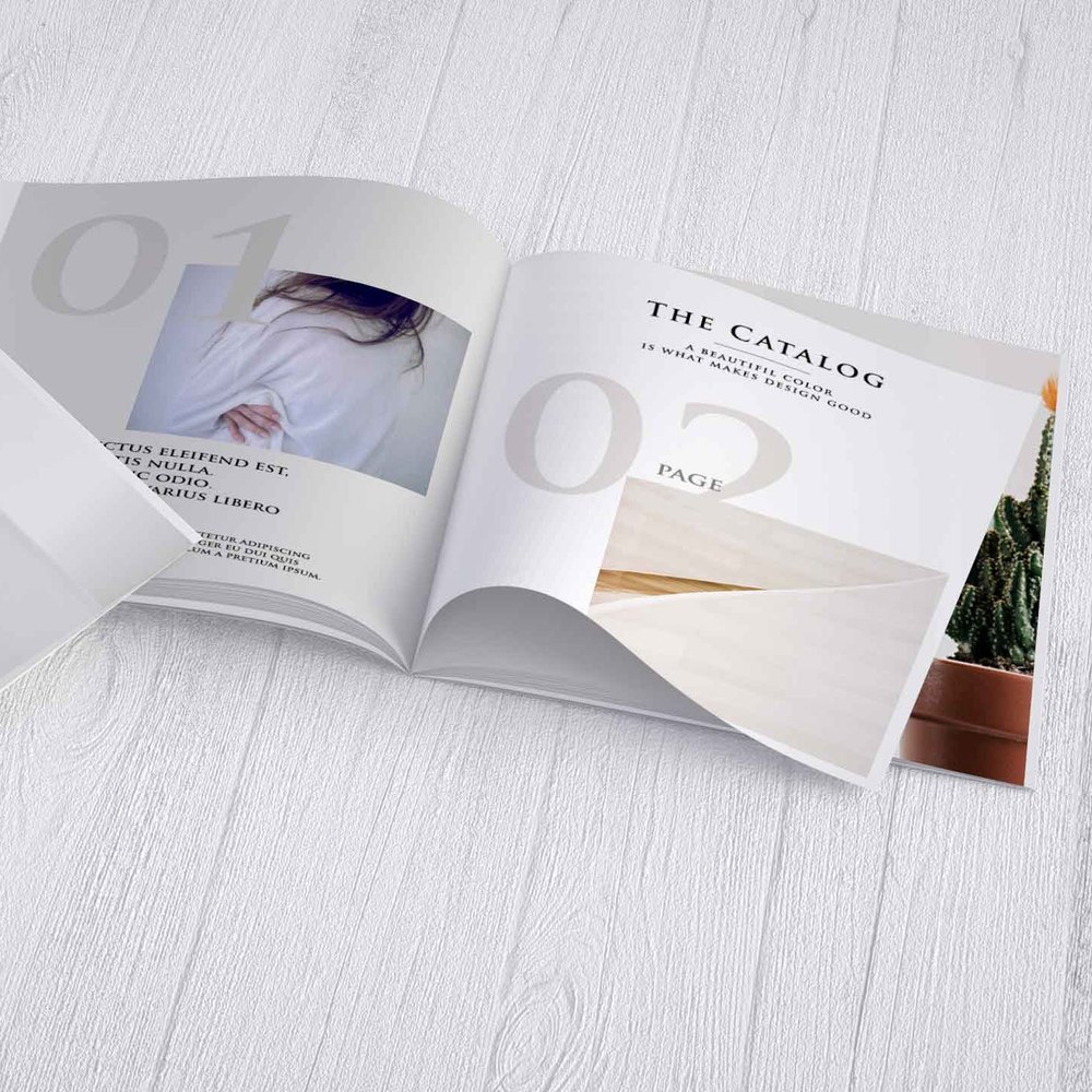 Offset Printing Matt Board Catalogue