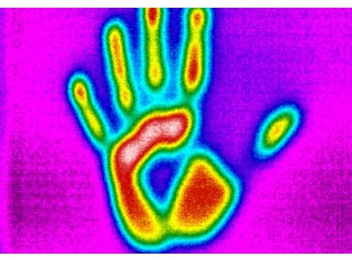 Thermal Imaging Service, For Industry / Commercial Facility