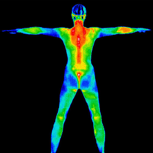 Thermal Imaging, Industrial, On-Site