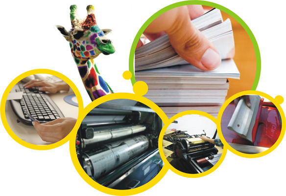 Paper Commercial Offset Designing and Printing Service, in NCR