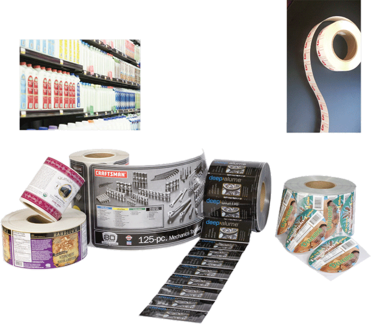 Multicoloured Forms And Labels Printing Service