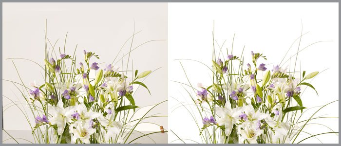in Pan India Image Processing Services, Home Delivery
