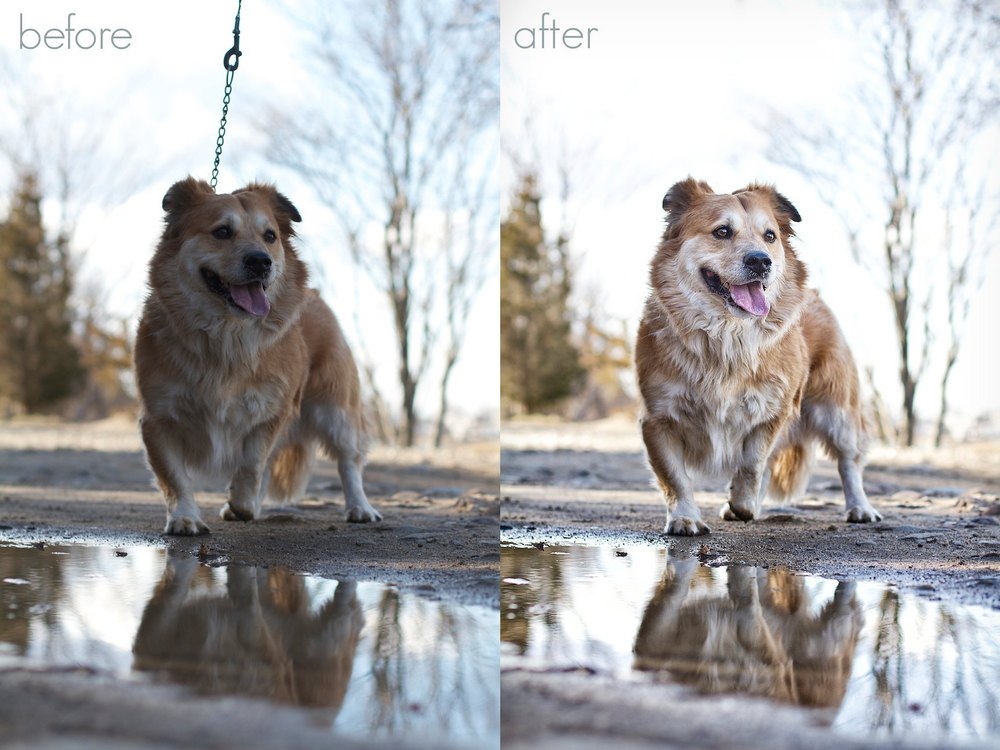 High Quality Hd Prints 12 Hr Photo Color Correction Service, Home Delivery