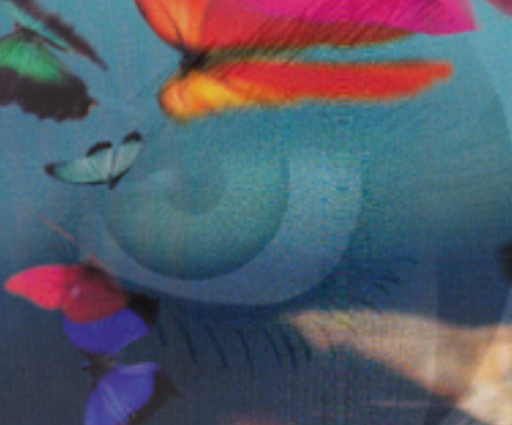 Scanning And Image Manipulation Services