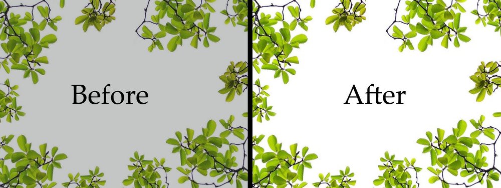 Image Masking Service