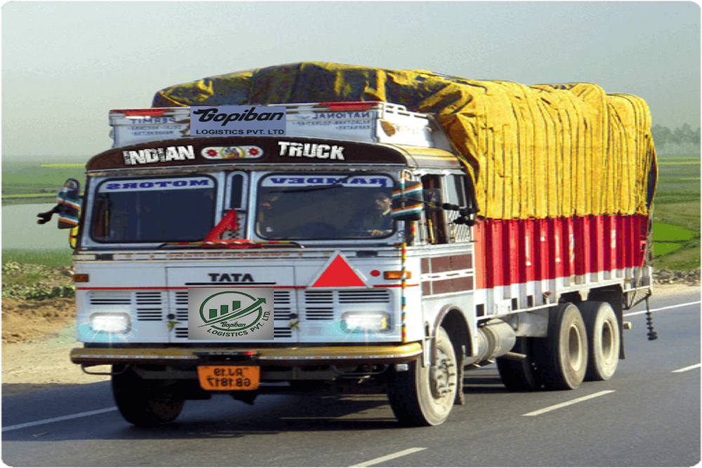 Daily Route Goods Transportation Services, Truck