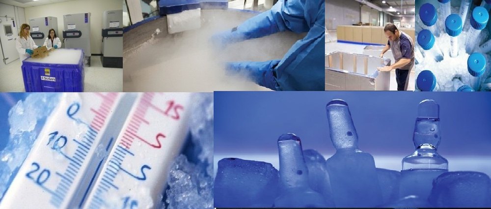 Offline Pan India Cold Chain Logistics Service
