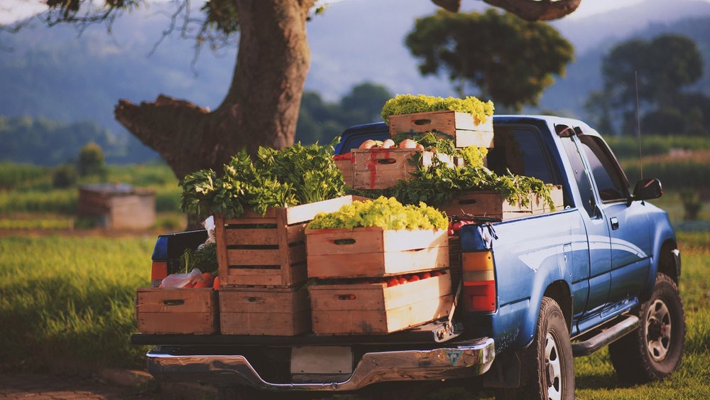 Fruits Transportation Service, Mode of Transport: Air