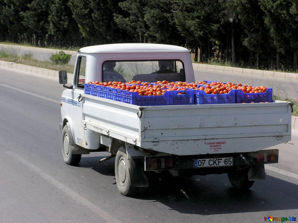 Vegetables Transportation Services