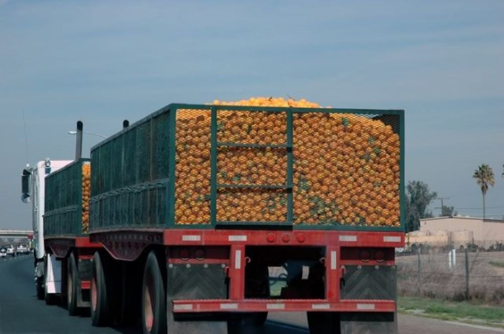 Vegetable Forwarding Services