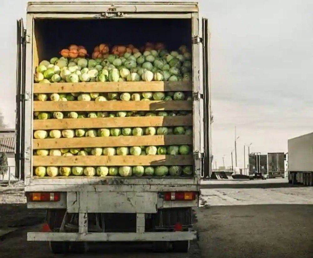 Perishable Goods Transport Service