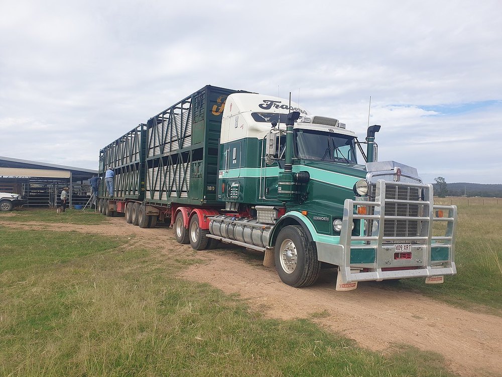 Perishable Goods Transport Service