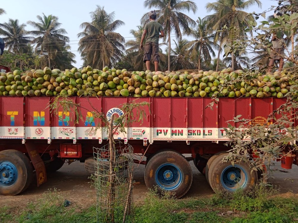 Road Freight Services