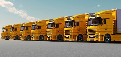 Transportation Management Service