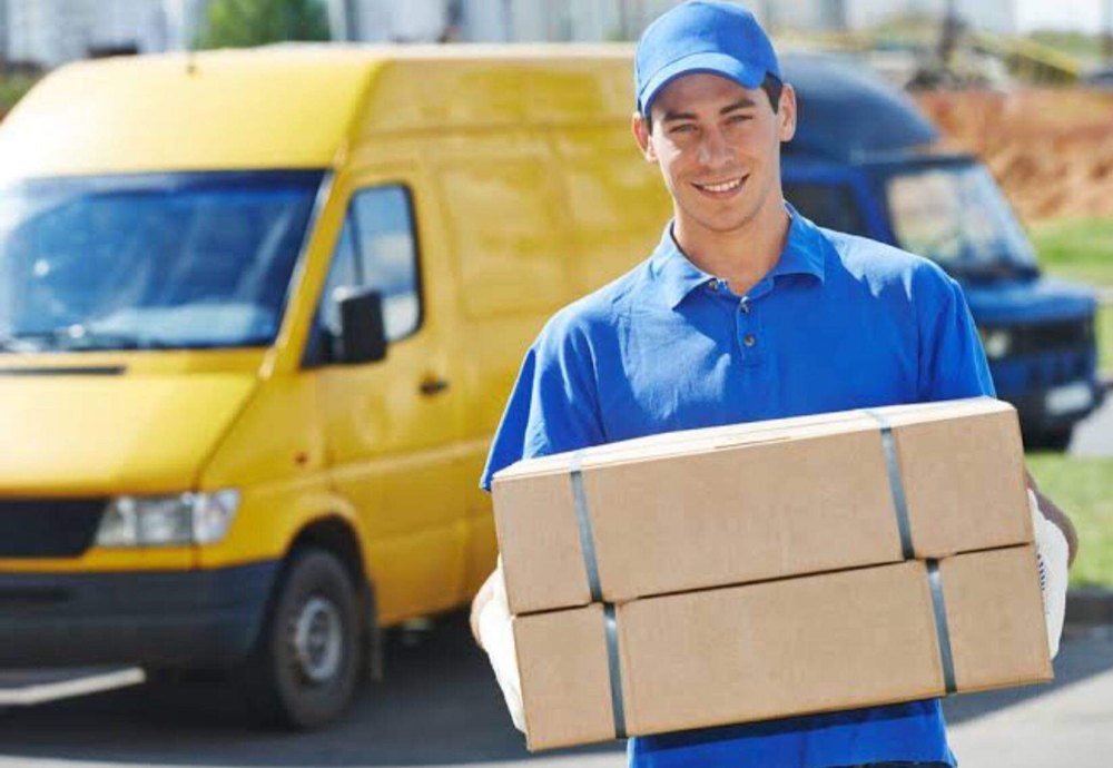 Domestic Courier Services