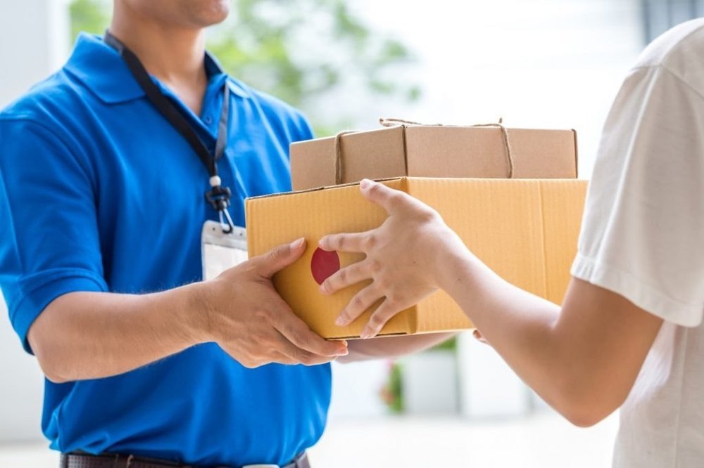 Domestic Courier Service