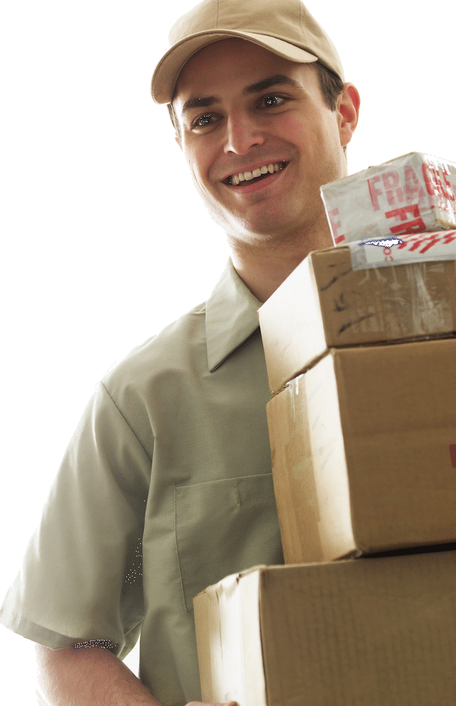 International Worldwide Door To Door Courier Service, India, Air