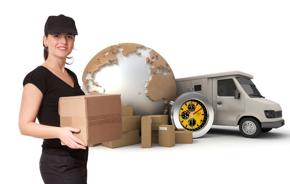 Domestic Courier Service