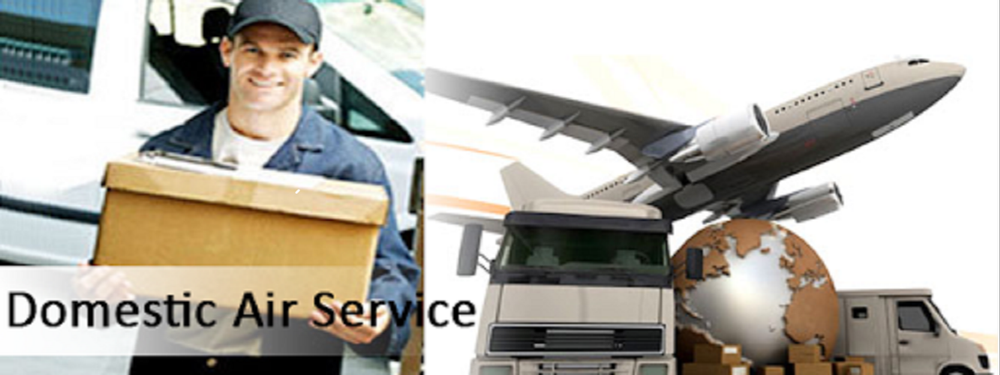 Domestic Air Courier Services