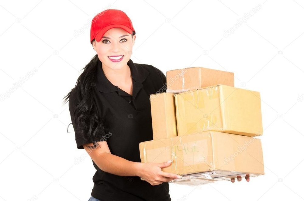 Domestic Air Courier Service