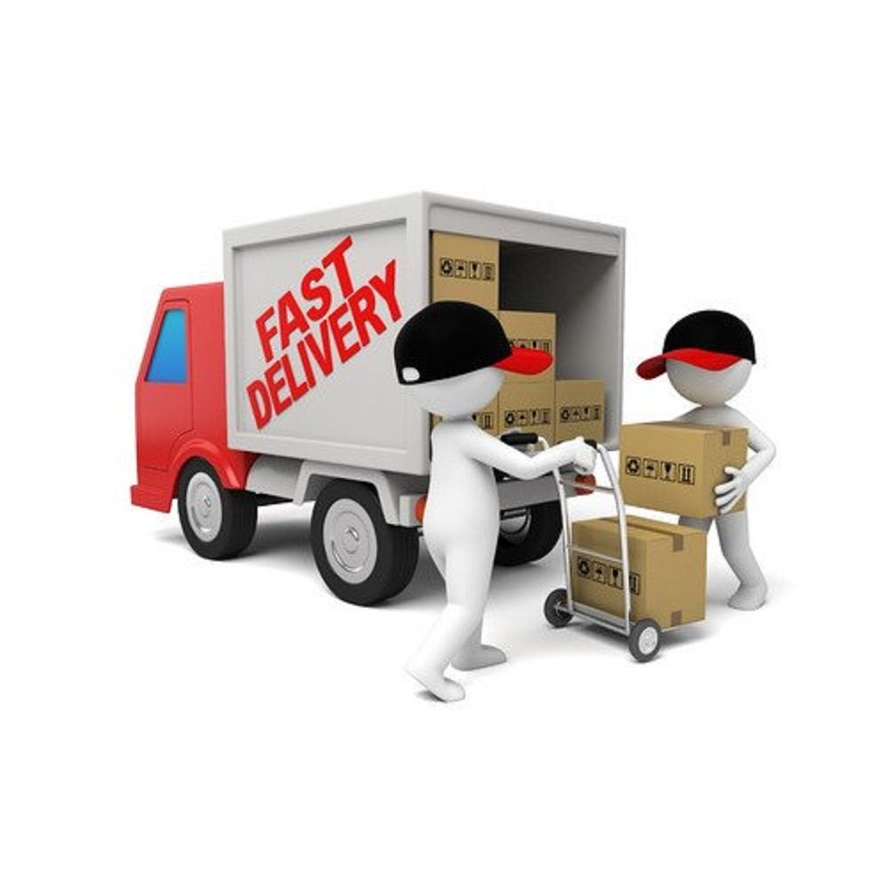 Overnight Courier Service