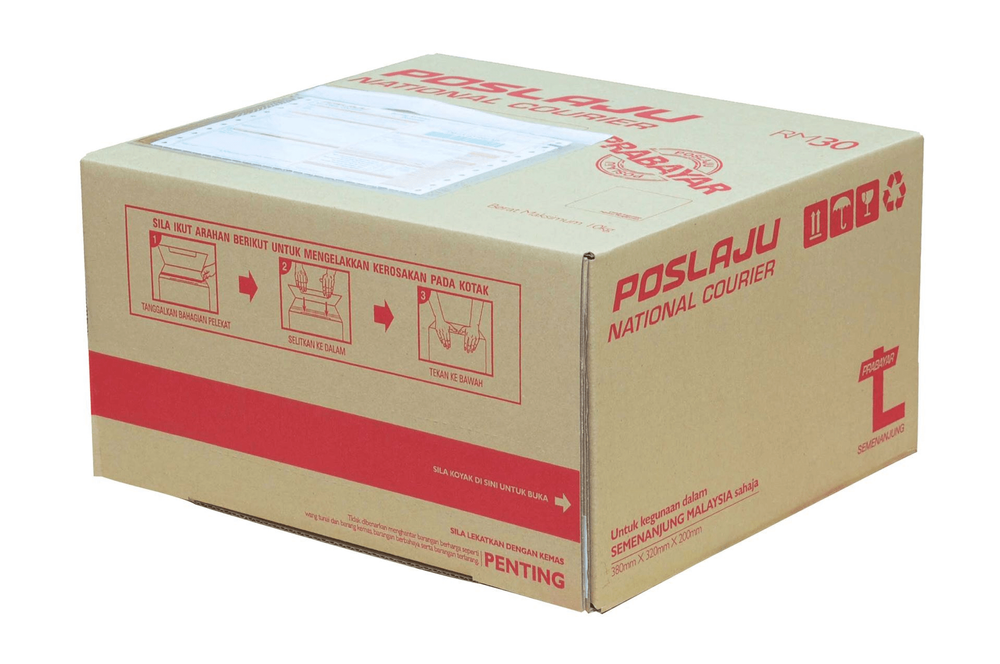 Surface Express Parcel Delivery Services