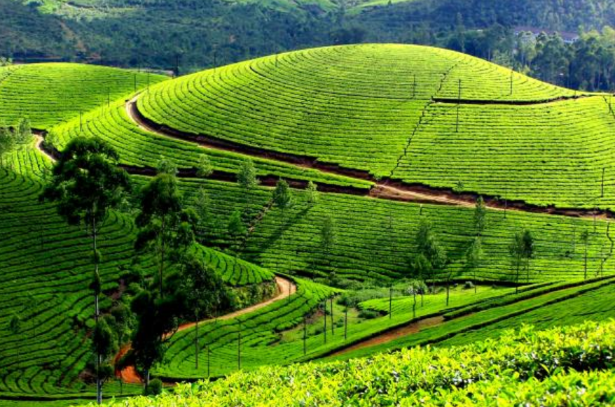 Express Kerala With Houseboat