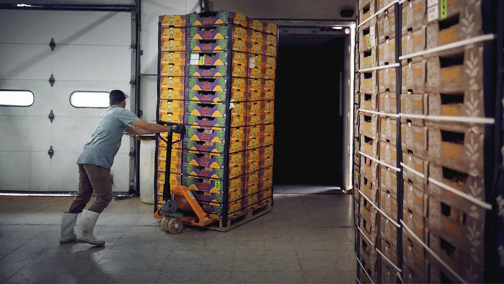 Online Pan India Cold Chain Logistics Service