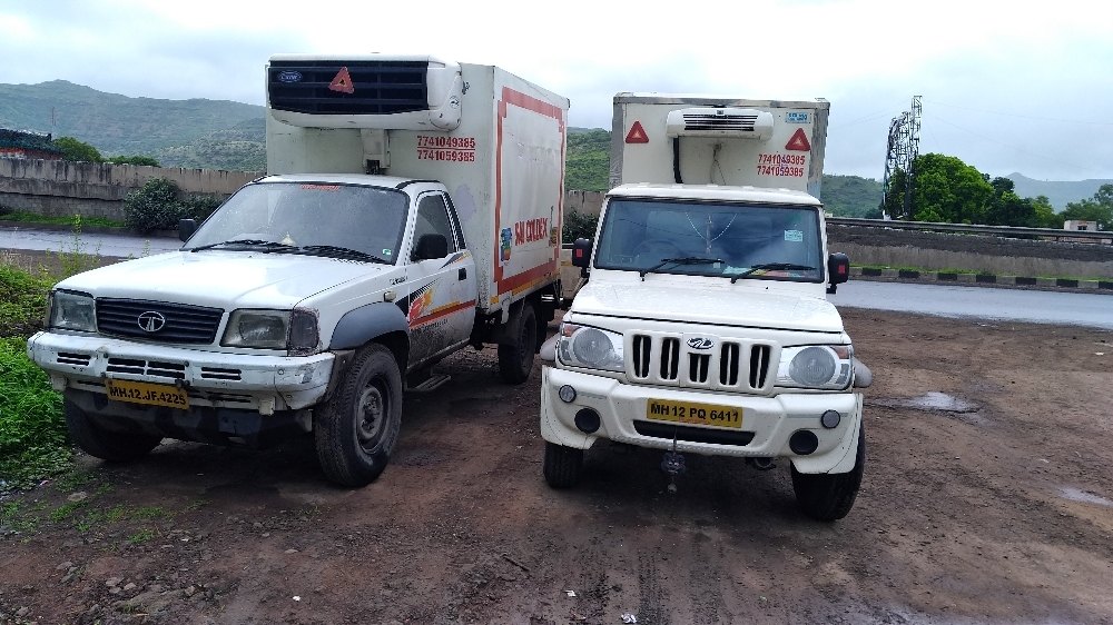 Pharmaceutical Transportation Service, -25c To +25c
