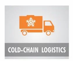 Cold Chain Logistics Solution Service