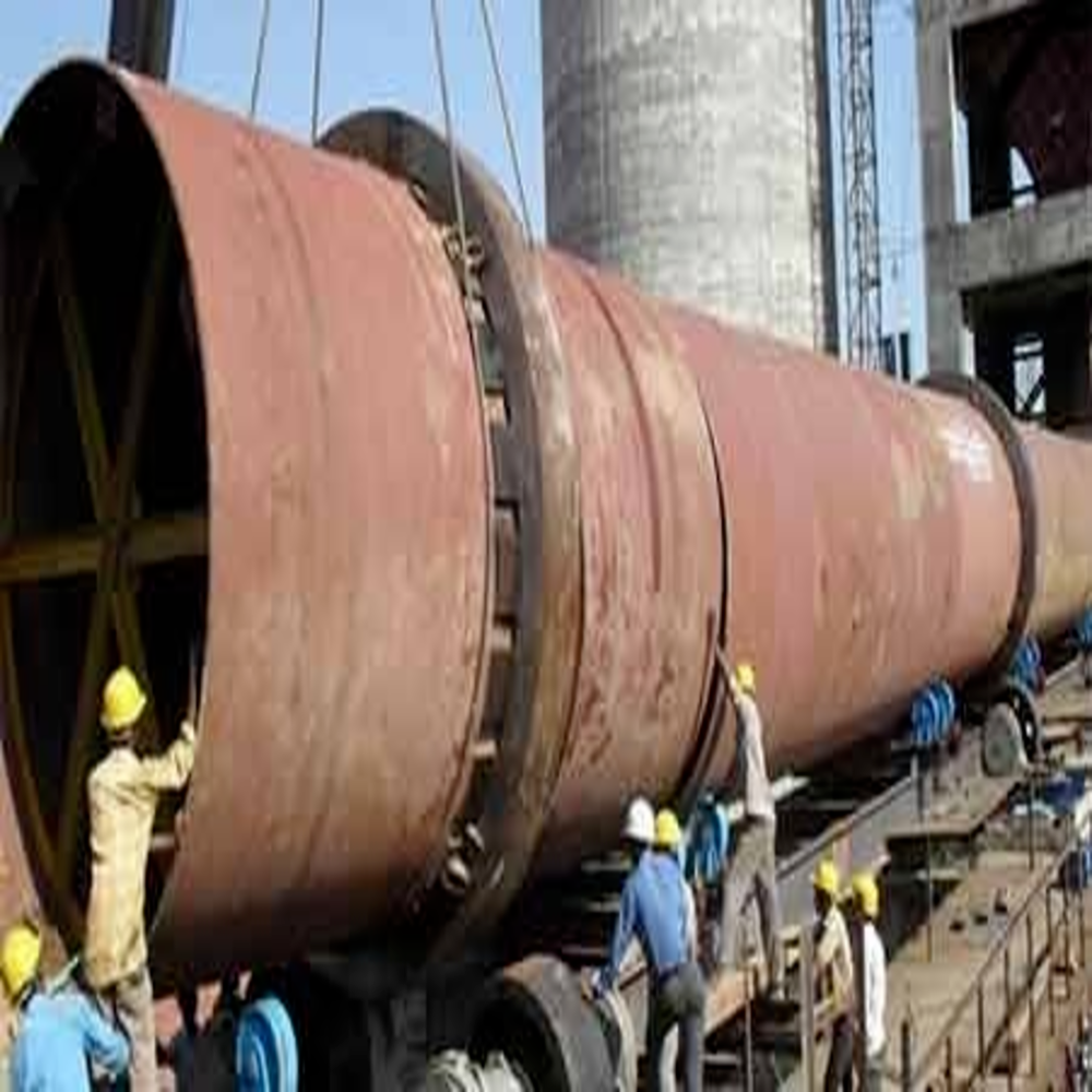 3 To 6 Months Cpg Special Projects, In Yamunanagar