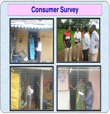 Consumer Survey Services